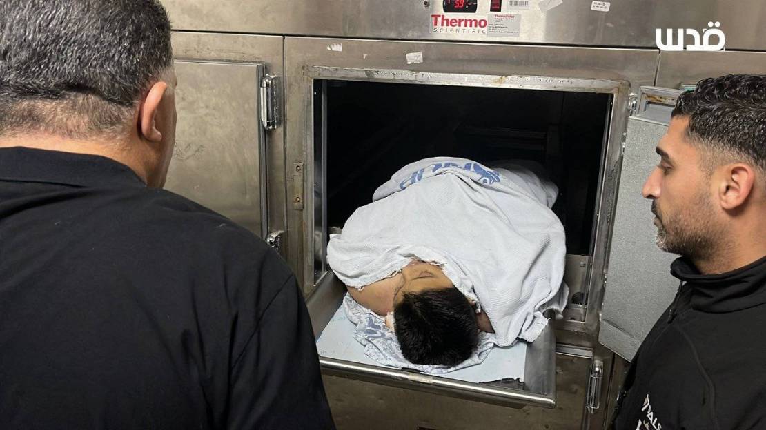 photo_٢٠٢٥-١١-١١_٢٢-١١-٤٩