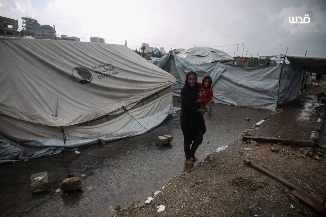 photo_٢٠٢٥-١١-١٥_١٣-١٩-٣٣