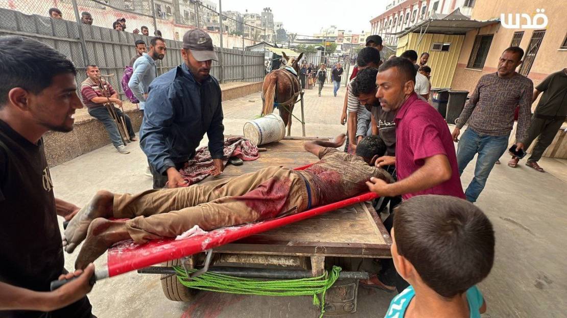 photo_٢٠٢٥-١١-٠٣_٠٨-٥١-٠١