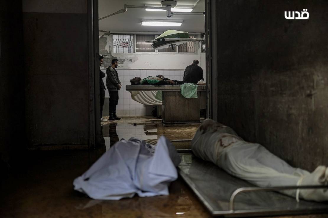 photo_٢٠٢٥-١٢-١٢_١٦-١٦-٥٧