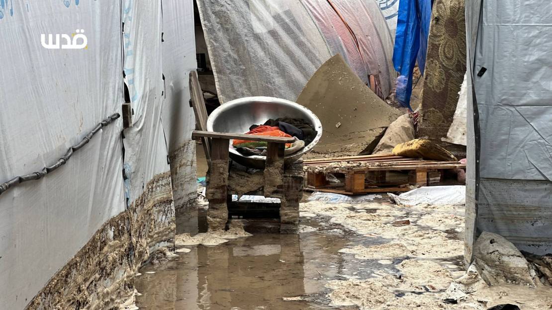 photo_٢٠٢٥-١٢-٢٨_١٢-٢٨-٤١