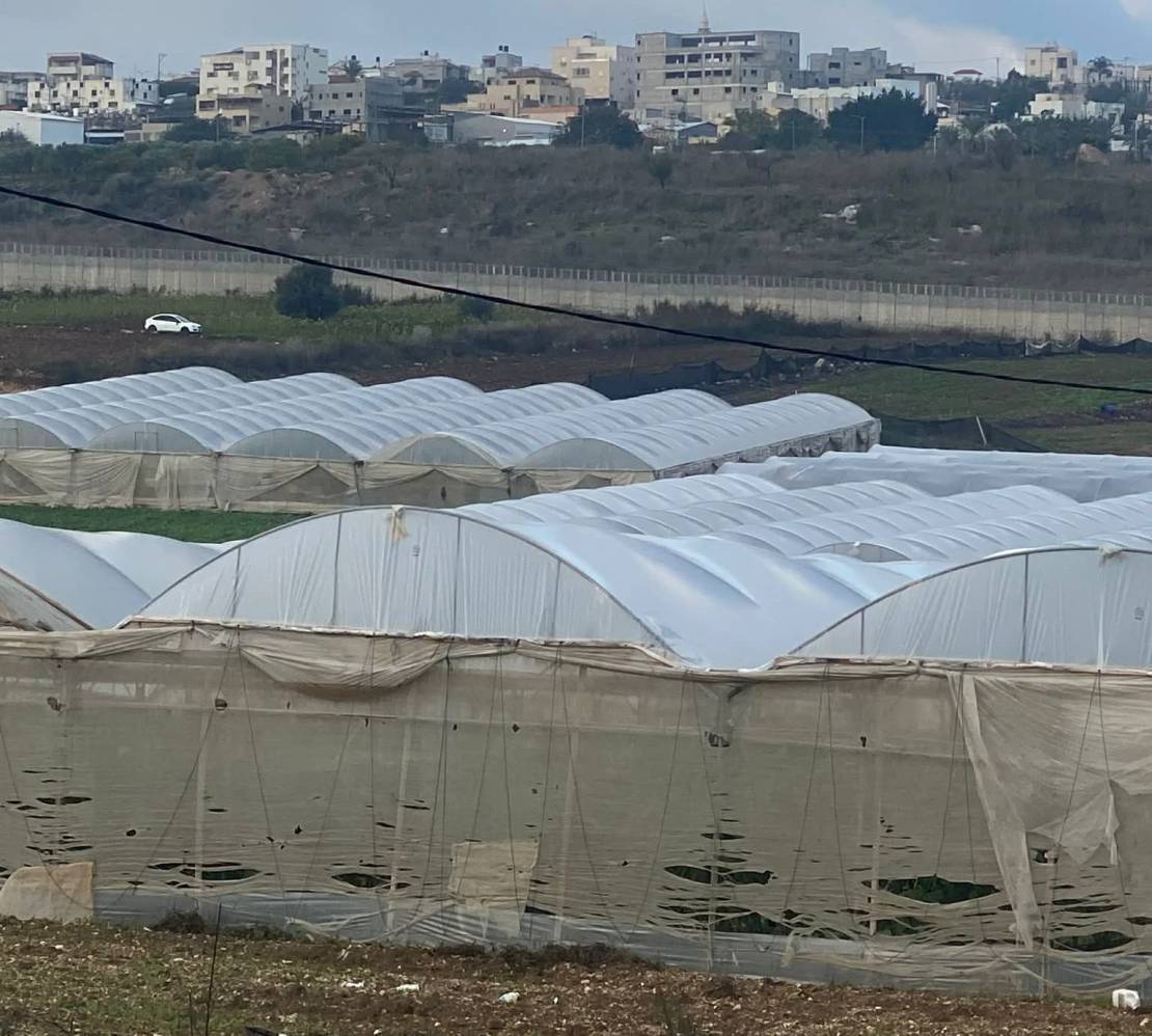 c3bce250-b735-41cc-b2ff-bb95932edf58