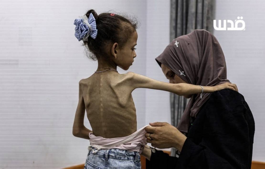 photo_2025-12-13_11-52-11