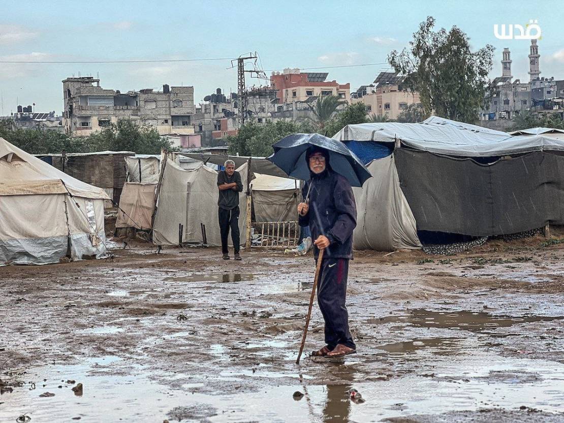 photo_٢٠٢٥-١١-١٥_١٣-٣٨-١٩