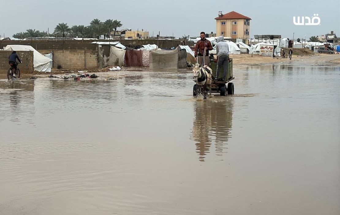 photo_٢٠٢٥-١٢-١٢_١٦-٢٩-٣٤