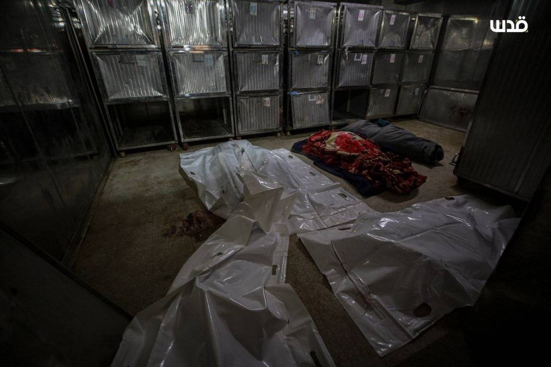 photo_٢٠٢٥-١٢-٢٠_١١-٤١-٠٩