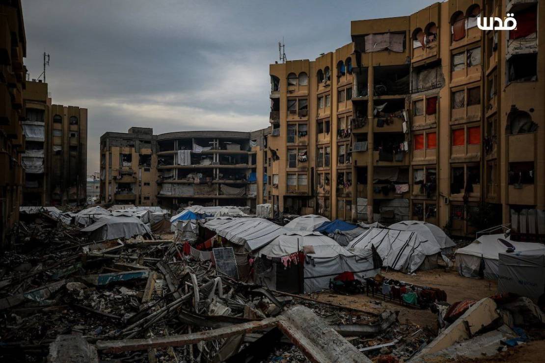 photo_٢٠٢٦-٠١-٠٥_٠٧-٠٢-٥٧