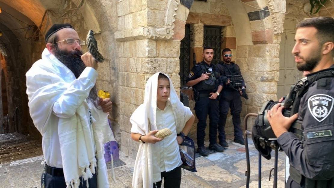 4ff996dd-eb98-4a60-9874-b0c693fa05ec-1694938369-1