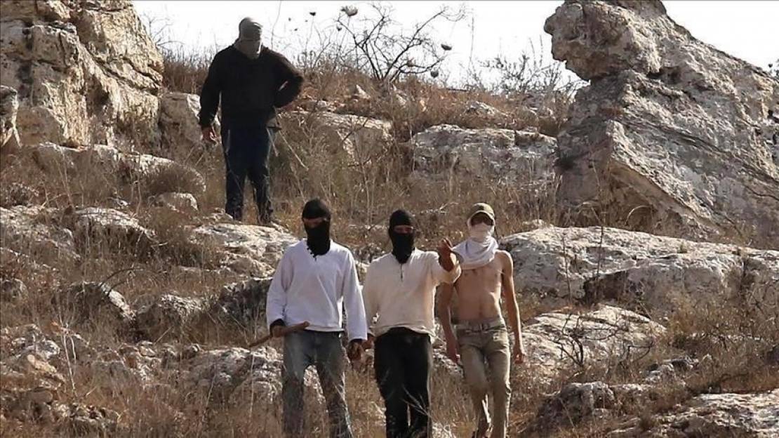 thumbs_b_c_f178c0b7ed549dceec13b3c7cac1f7bb