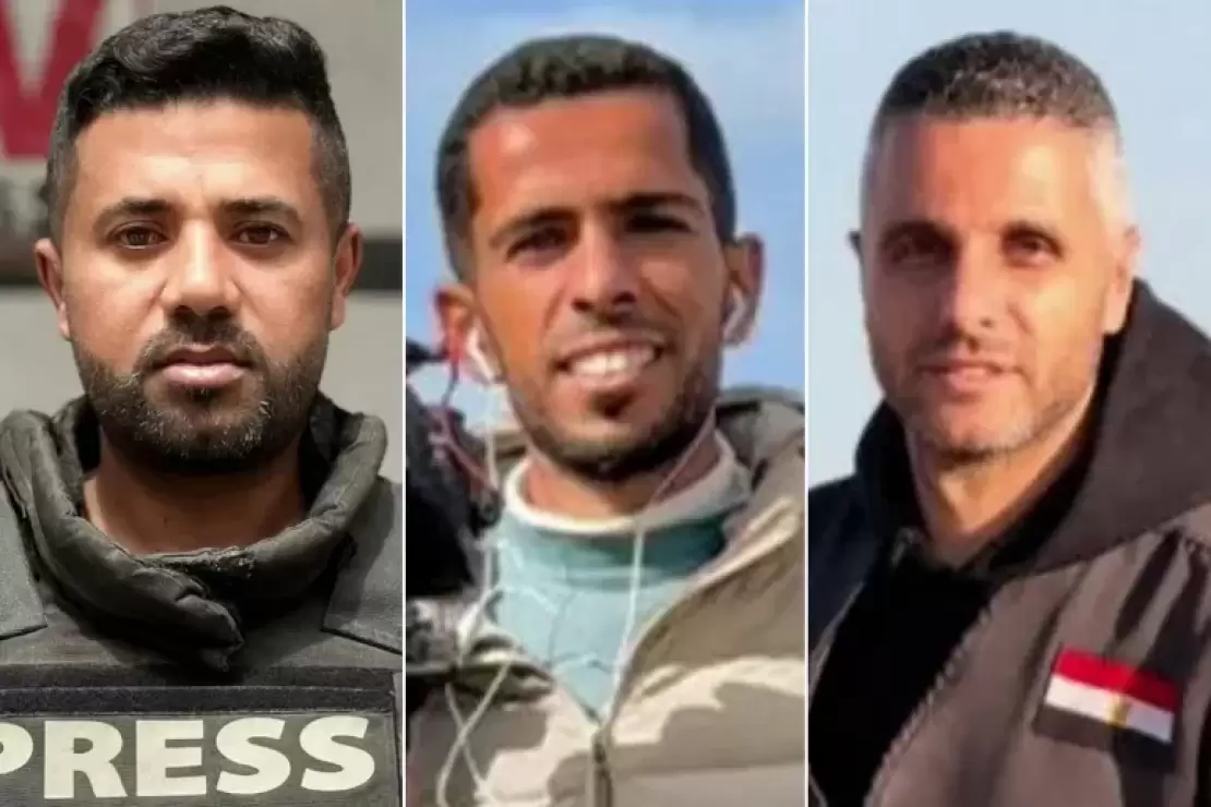 شيسشيشسي-1769000948