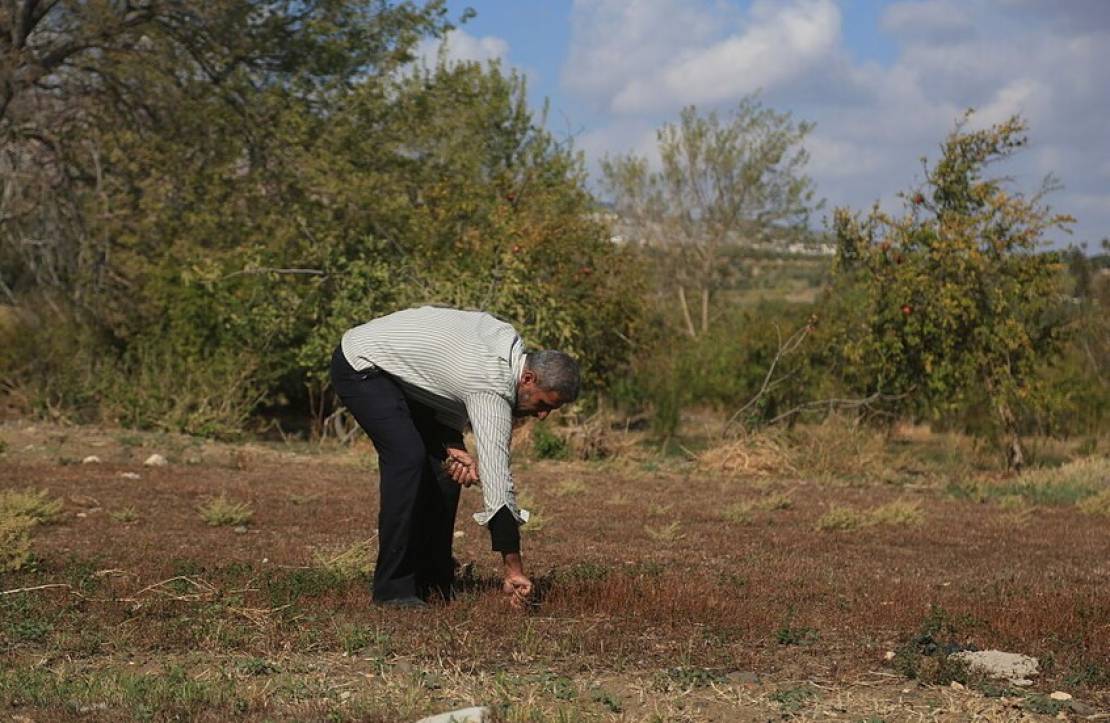 6989d41c4c59b74b8408ad82