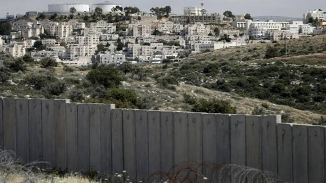 02080342703913384407751623137181