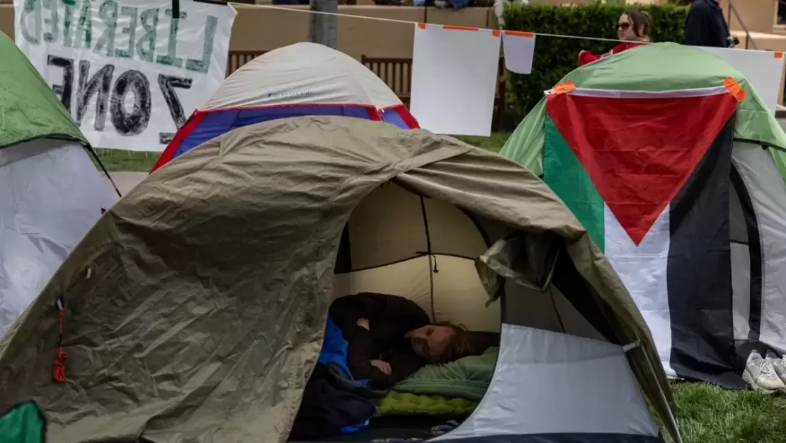 iuev0wx2HL_1771049212