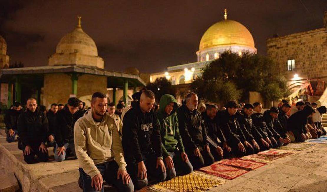 photo_2026-02-19_11-14-47