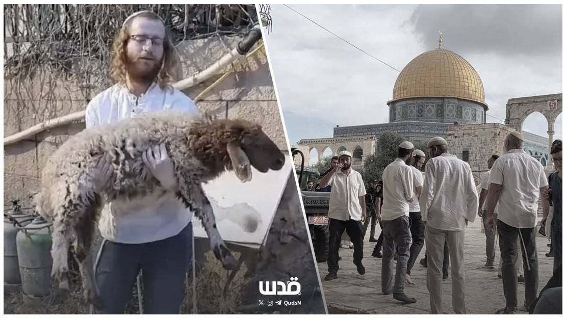 photo_2026-03-30_17-08-59