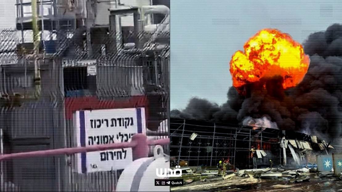 photo_٢٠٢٦-٠٣-٢٩_١٨-٣١-٤٤ (2)