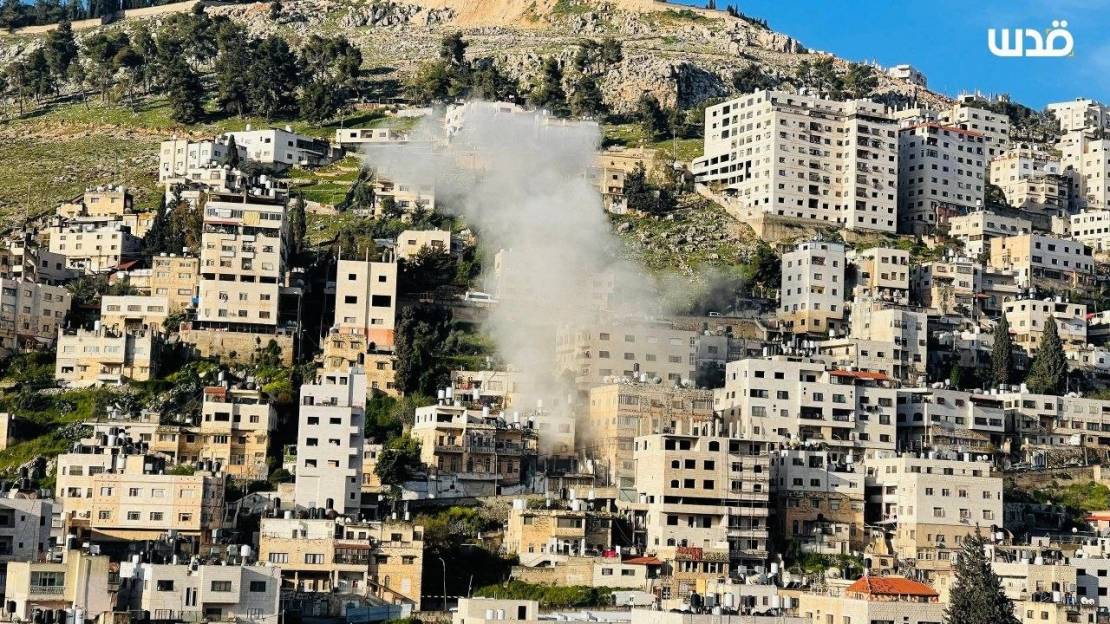 photo_2026-03-28_08-57-22