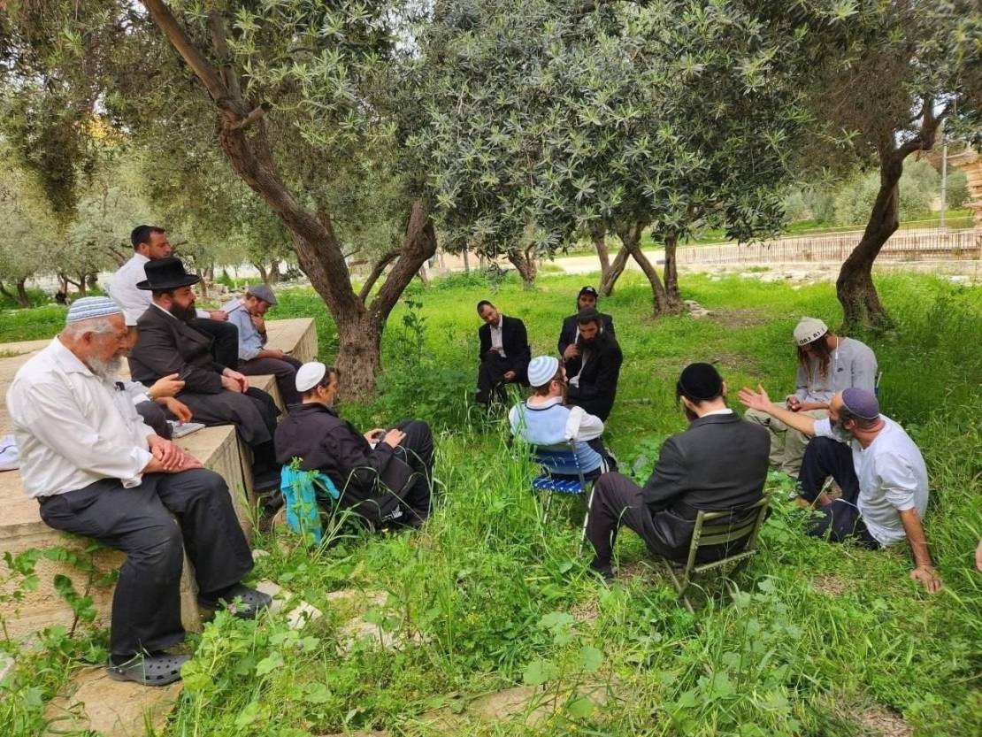 photo_2026-04-15_16-56-05