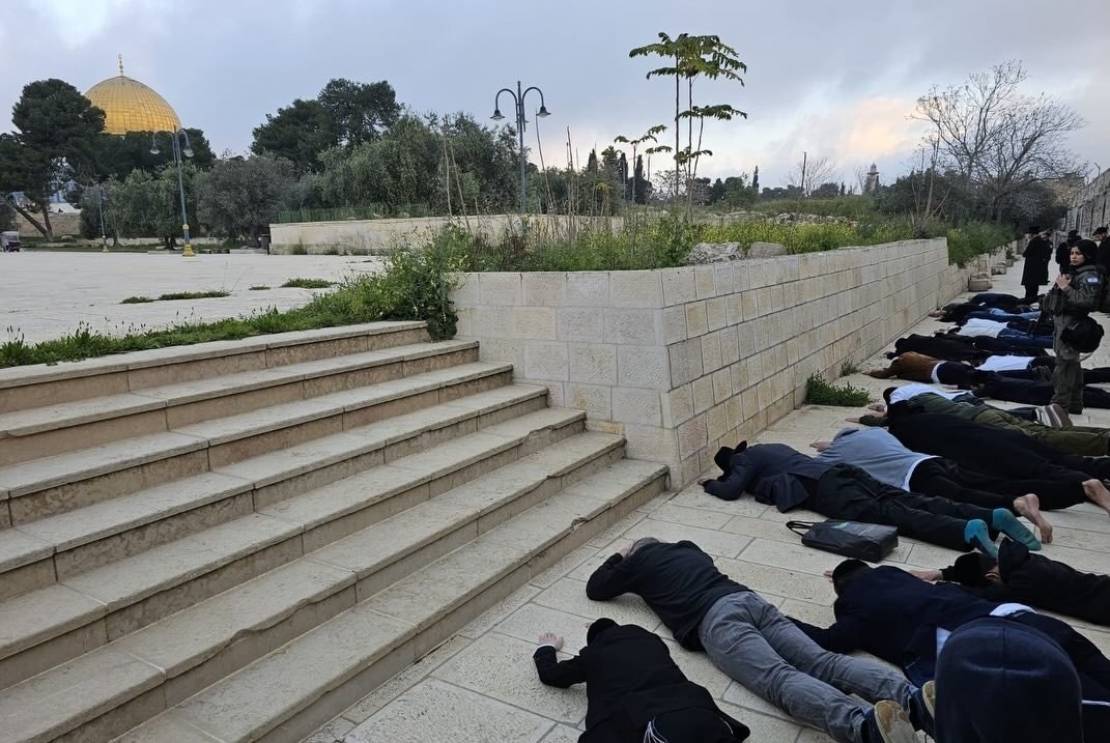 photo_٢٠٢٦-٠٤-٠٩_٠٩-٥٩-٥٩