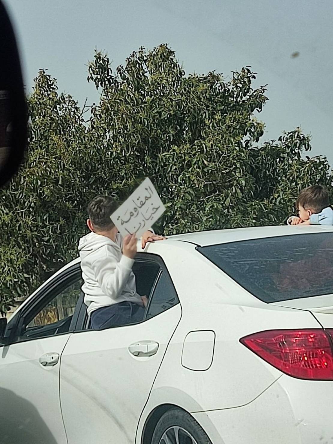 photo_2026-04-18_09-48-15