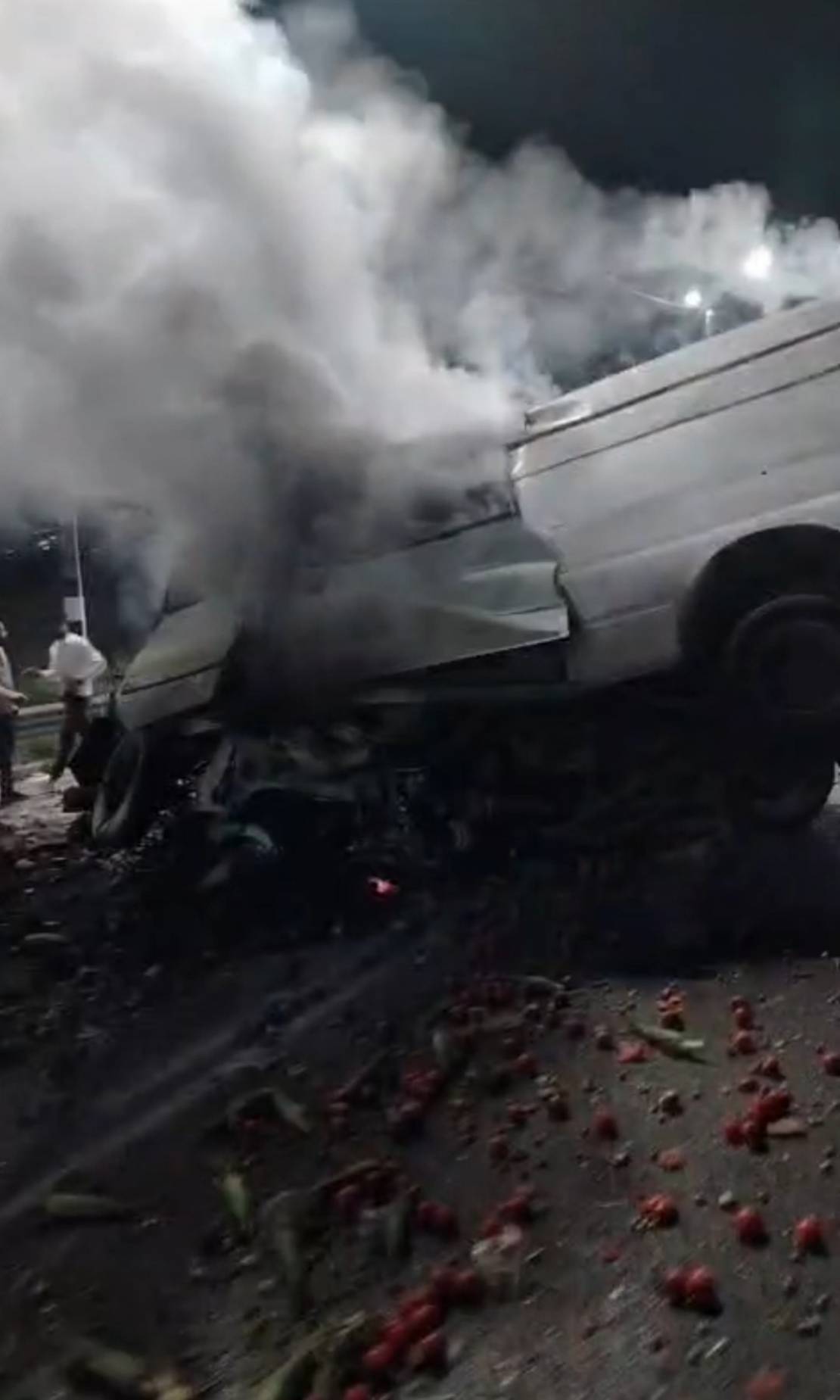 photo_2026-04-11_14-44-51