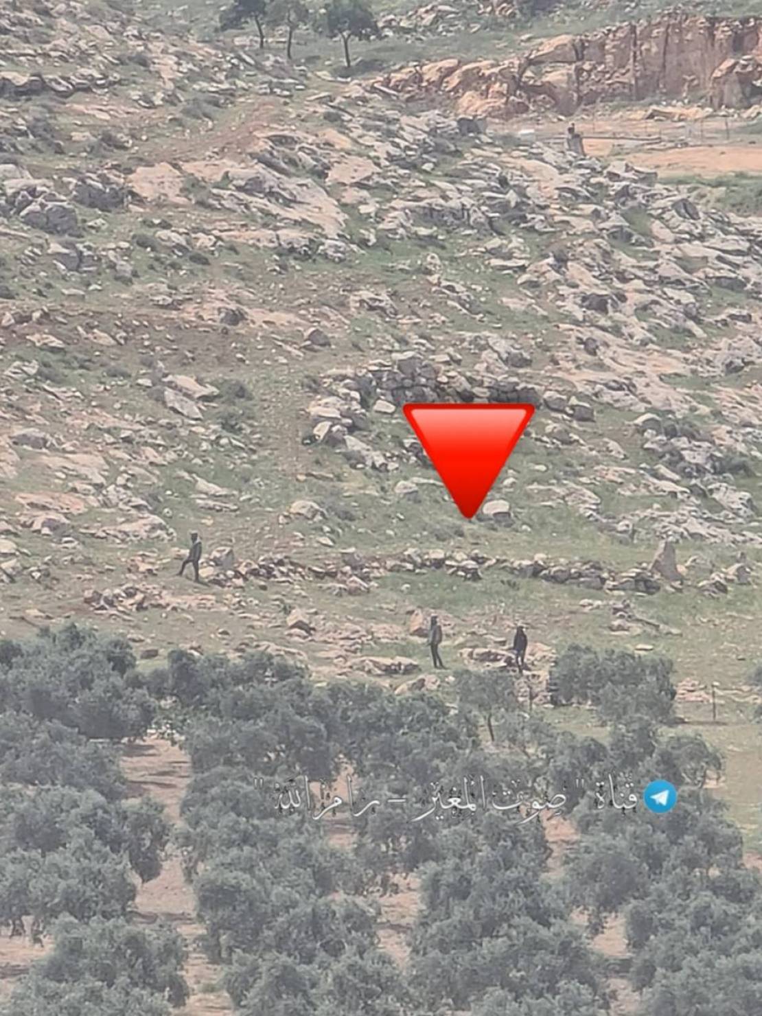 photo_2026-04-21_13-39-51