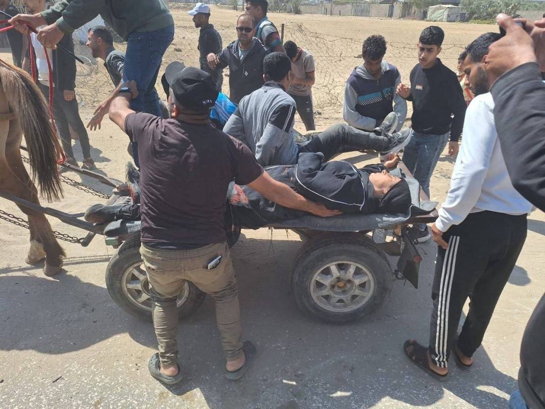 photo_2026-04-30_11-01-58