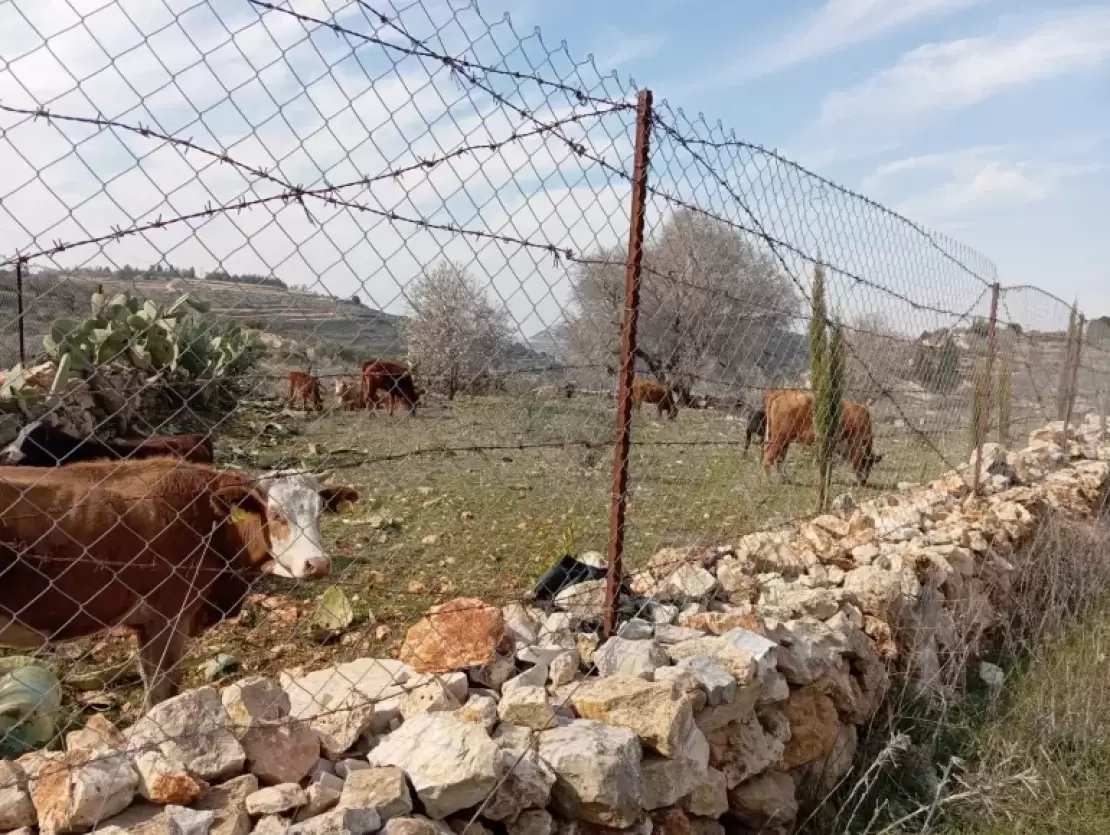 010-1758696971