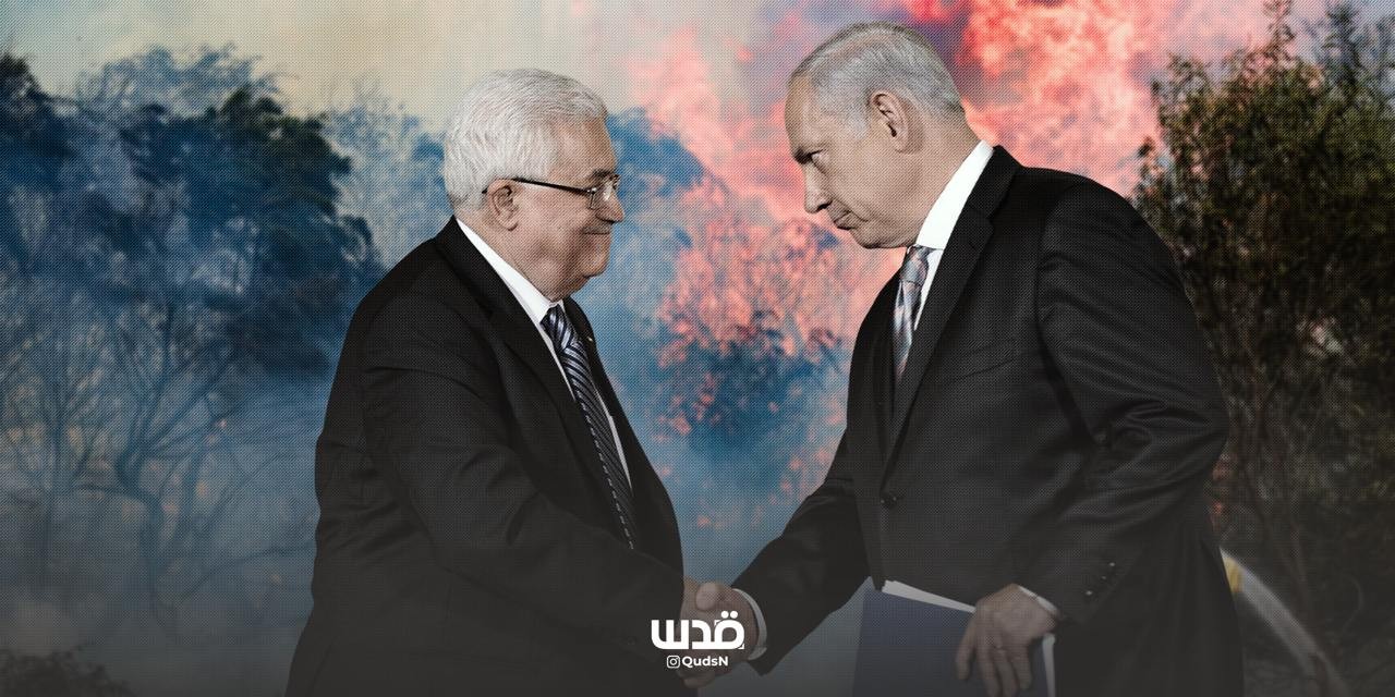 https://qudsn.co/photo_5807808499281938228_y