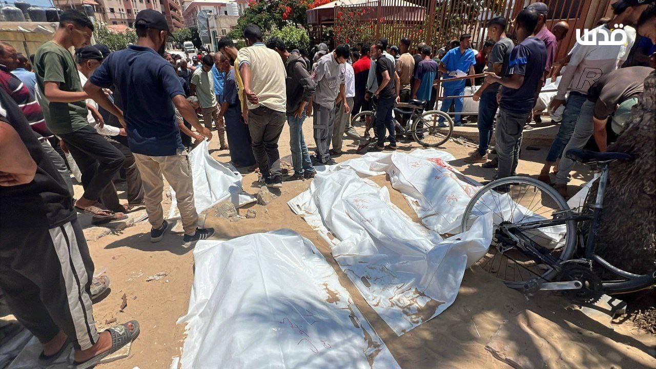 https://qudsn.co/المساعدات تُيتّم الأطفال الجوعى .. مجزرة جديدة في رفح  