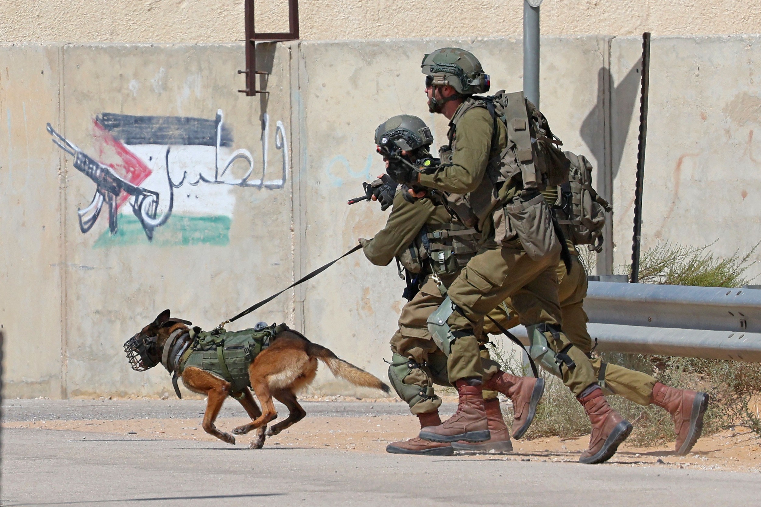 https://qudsn.co/israels-golani-infantry-brigade
