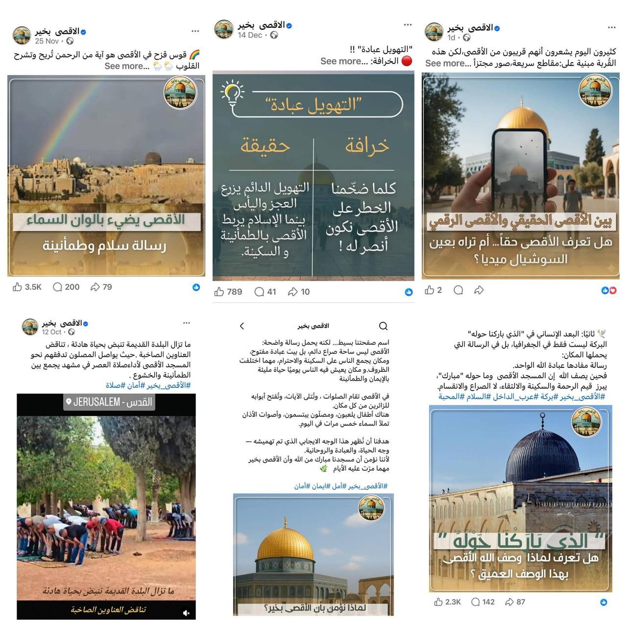 photo_2025-12-23_16-03-49