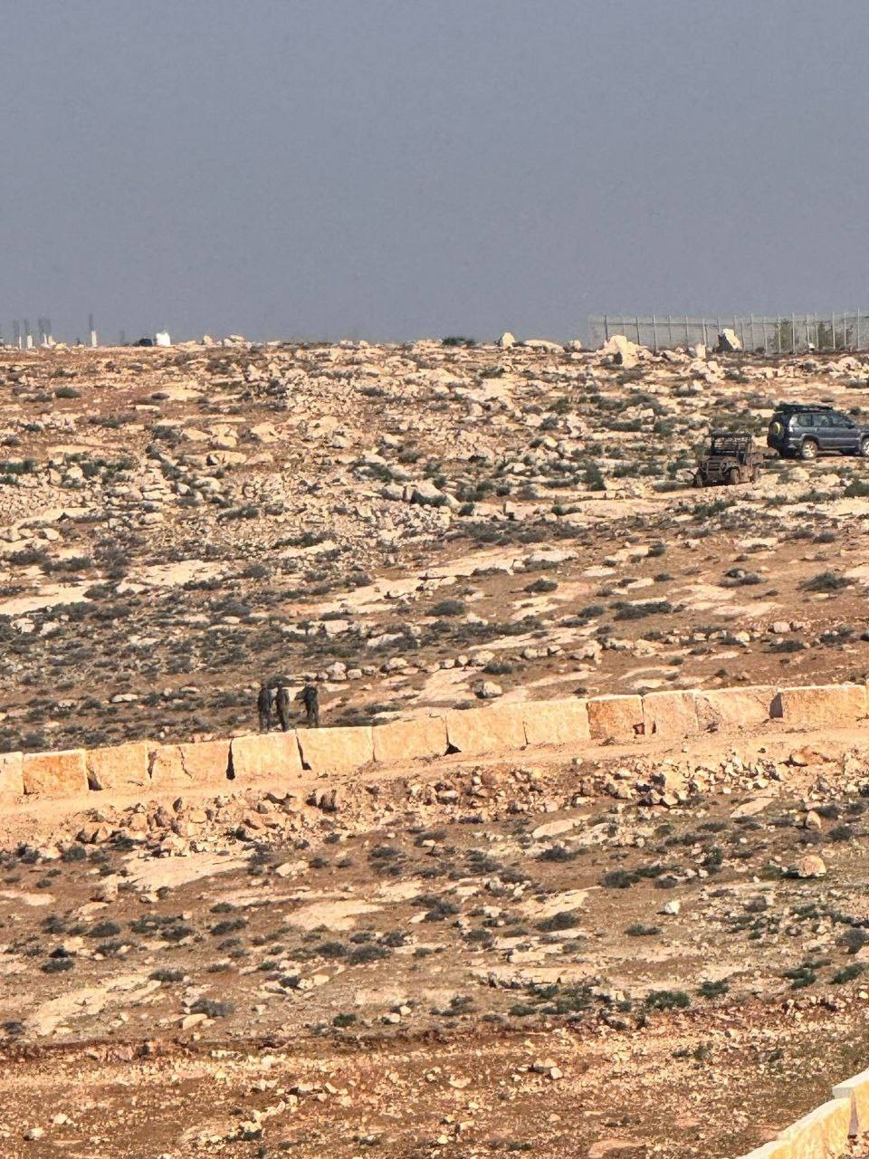 فلسطين – إصابة وسرقة 100 رأس غنم في هجمة مستوطنين على بيت لحم